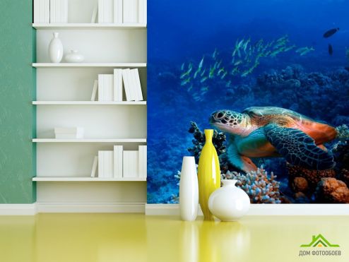 выбрать Фотообои Черепаха в глубине Фотообои Фотообои Море: квадратная ориентация на стену