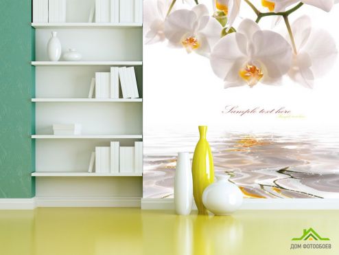 выбрать Фотообои Орхидеи белоснежные Фотообои Цветы на стену