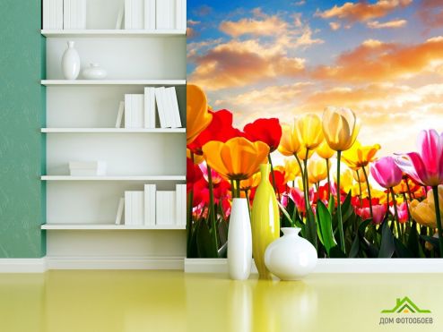 выбрать Фотообои Тюльпаны в закате Фотообои Фотообои Цветы: фото  на стену