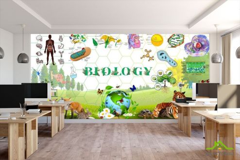 выбрать Фотообои Для кабинета биологии Фотообои для школы на стену