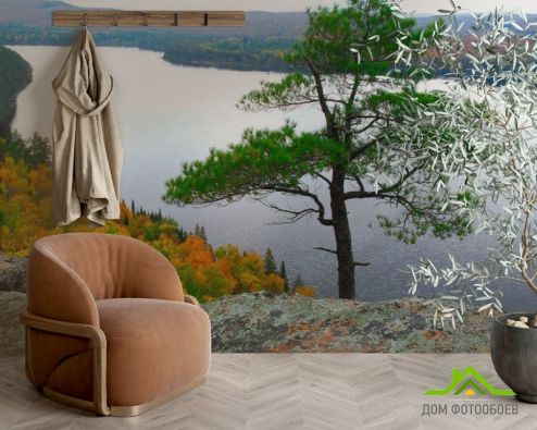 выбрать Фотообои Скала, вода, дерево Фотообои Фотообои Природа: горизонталная, горизонтальная, Осень ориентация на стену