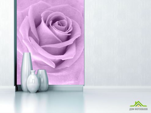 выбрать Фотообои сиреневая роза Фотообои Розы на стену