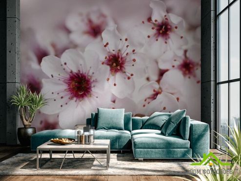 выбрать Фотообои цвет вишни Фотообои Цветы на стену
