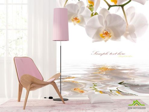 выбрать Фотообои Орхидеи белоснежные Фотообои, цвет: «фото» на стену