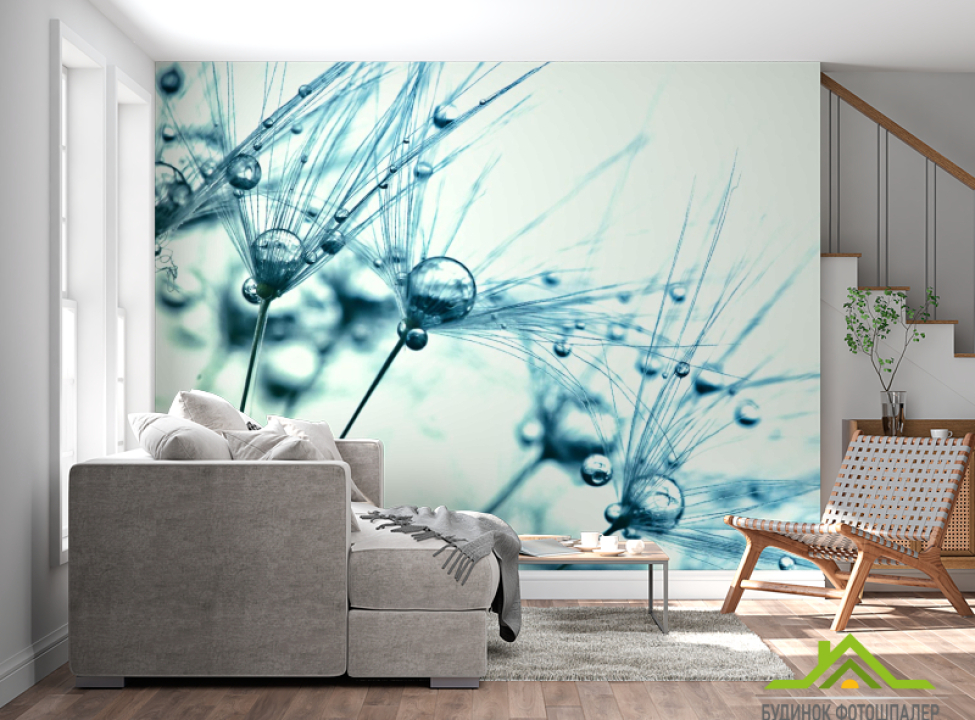 выбрать Фотошпалери роса на кульбабі Каталог фотошпалер на стіну