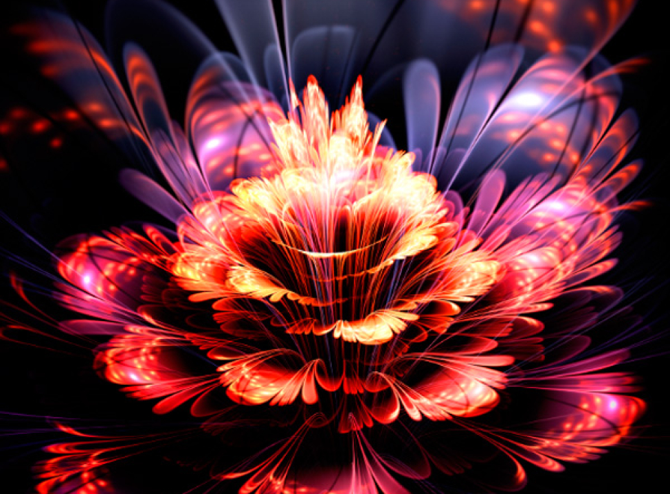 выбрать Фотошпалери Абстракционный квітка Каталог фотошпалер на стіну