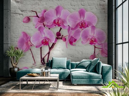 выбрать Фотообои 3д орхидея Фиолетовые фотообои на стену