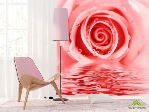 выбрать Фотообои Роза нежного оттенка Фотообои Фотообои Цветы: квадратная, розовый ориентация на стену