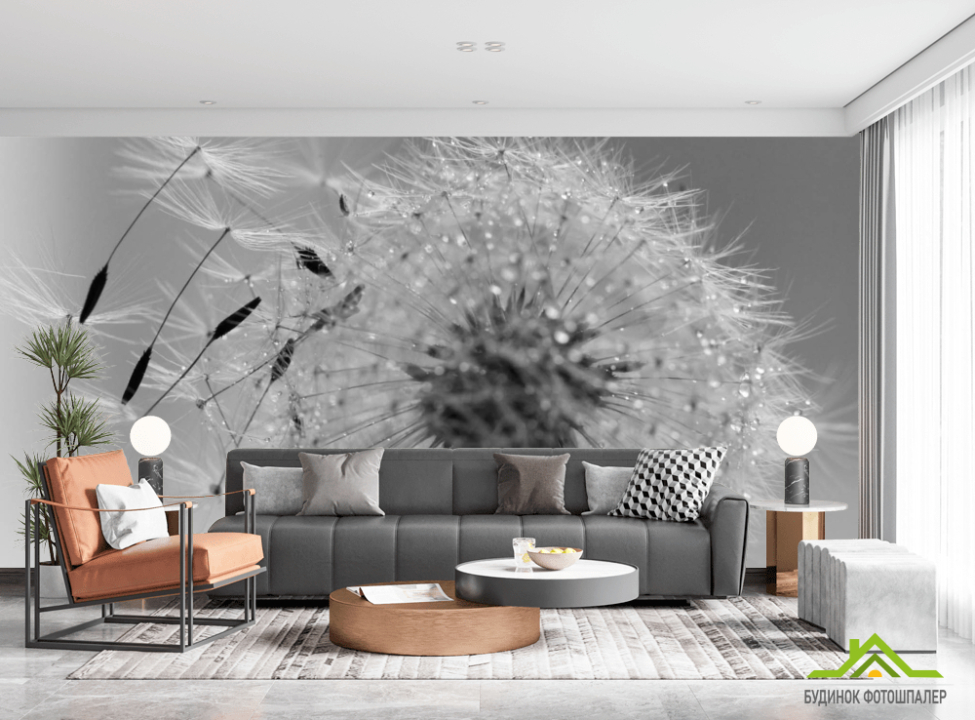 выбрать Фотошпалери чб кульбаба Каталог фотошпалер на стіну