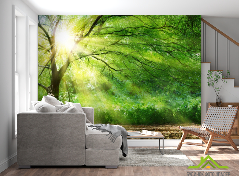 выбрать Фотошпалери сонце крізь крону Каталог фотошпалер на стіну