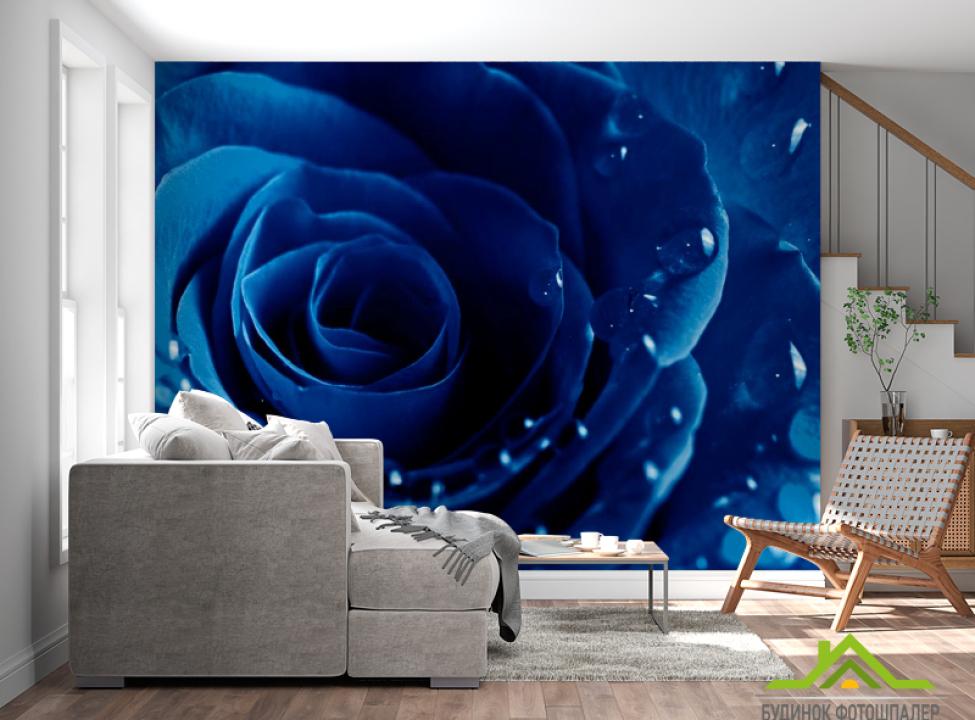 выбрать Фотообои Синяя роза с росой Фотообои Розы на стену