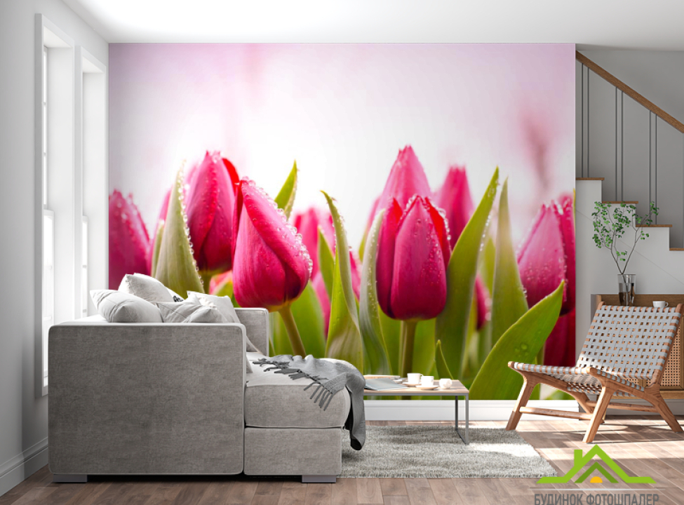 выбрать Фотообои Розово-малиновые тюльпаны Каталог фотообоев на стену