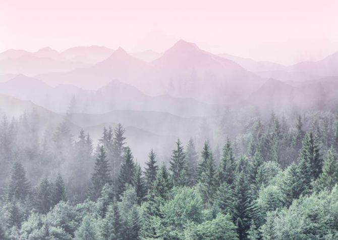 Фотошпалери ліс з рожевими горами