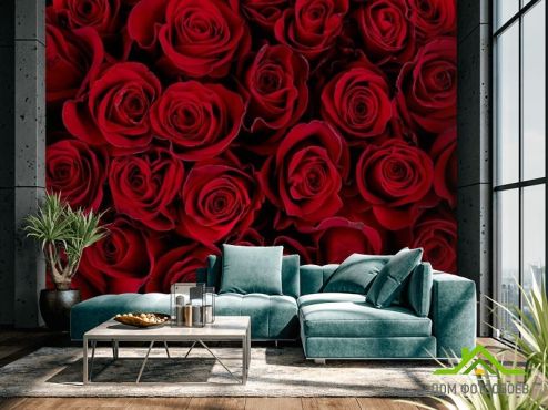 выбрать Фотообои red roses Фотообои Розы на стену