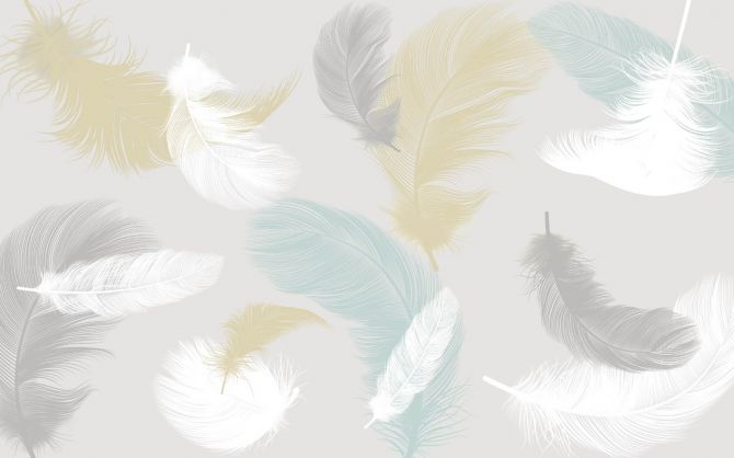 Фотообои Нежные перья