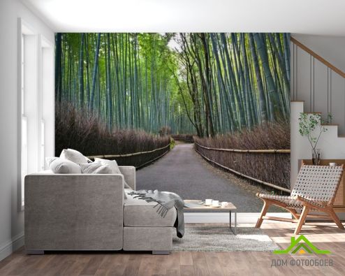 выбрать Фотообои В бамбуковую сказку Фотообои Расширяющие пространство на стену