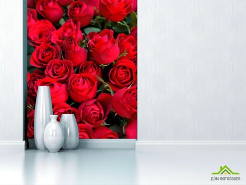 выбрать Фотообои красные розы Фотообои разные на стену