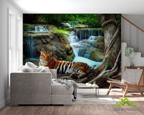 выбрать Фотообои тигр у водопада Фотообои Фотообои Природа: горизонталная, горизонтальная ориентация на стену