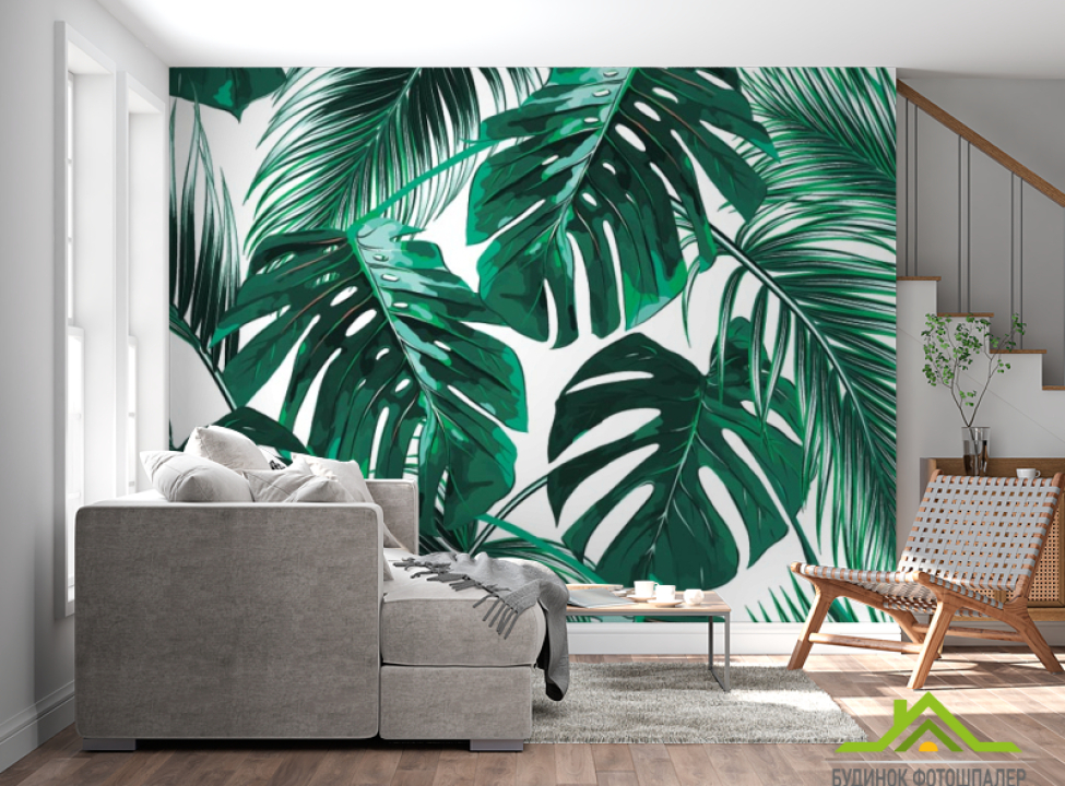 выбрать Фотошпалери Тропічні листя Каталог фотошпалер на стіну