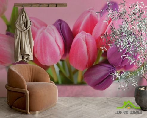 выбрать Фотошпалери Рожеві та фіолетові тюльпани Фотошпалери Фотошпалери Квіти: квадратна, горизонтальна орієнтація на стіну