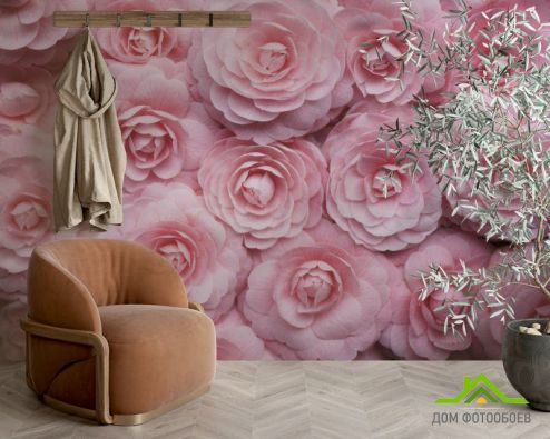 выбрать Фотообои широкие розы Фотообои Фотообои Цветы:  на стену