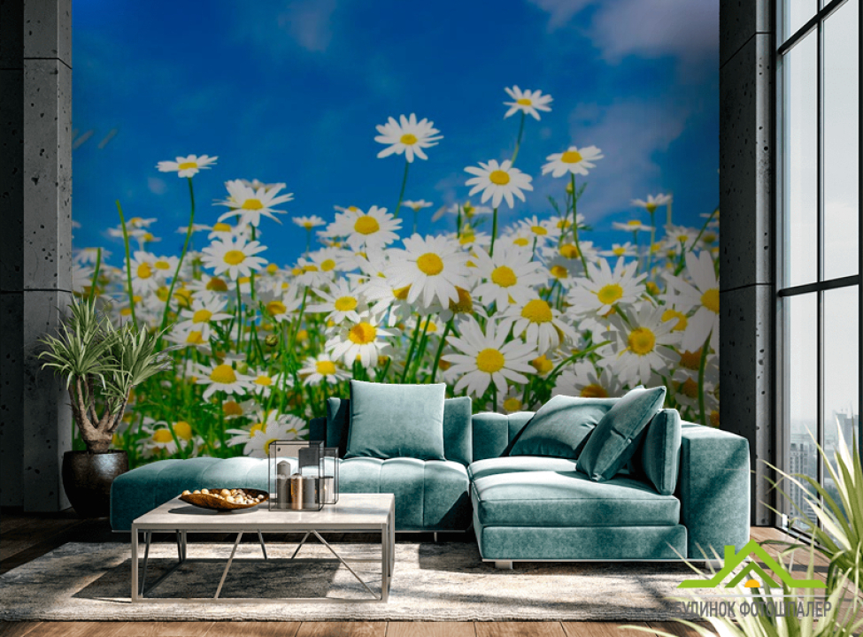 выбрать Фотошпалери Поле білих ромашок Каталог фотошпалер на стіну