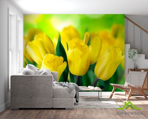 выбрать Фотошпалери Яскраво-жовті тюльпани Фотошпалери Фотошпалери Квіти: жовтий на стіну