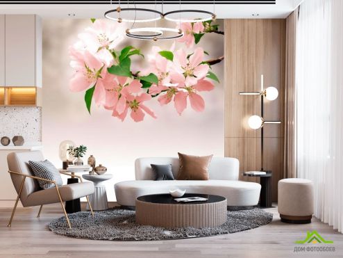 выбрать Фотообои Нежно-розовые цветки Фотообои Фотообои Цветы: фото, квадратная  на стену