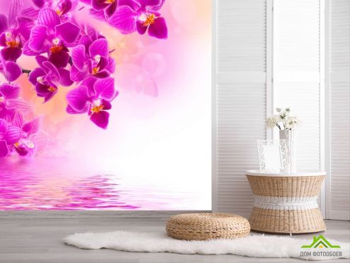 выбрать Фотообои Малиновые цветы над водой  на стену