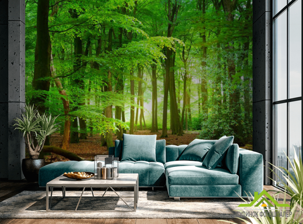 выбрать Фотошпалери ліс Каталог фотошпалер на стіну