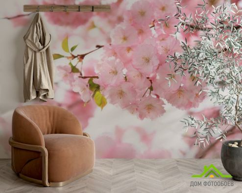 выбрать Фотообои Дерево в розовом цвету Фотообои Фотообои Цветы: фото  на стену