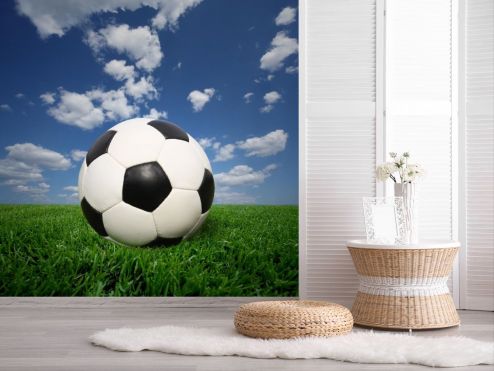 выбрать Фотообои мяч на траве Фотообои Фотообои Спорт: квадратная ориентация на стену