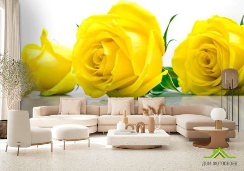 выбрать Фотошпалери Троянди жовті Фотошпалери Фотошпалери Квіти: квадратна, горизонтальна, жовтий орієнтація на стіну