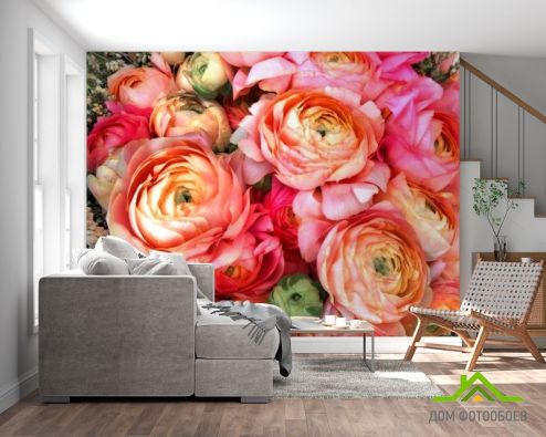 выбрать Фотообои Пионы насыщенно розовые Розовые фотообои на стену