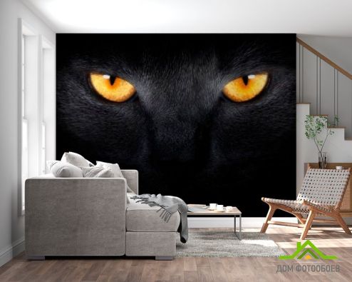 выбрать Фотообои Черная кошка Фотообои Фотообои Животные: горизонталная, горизонтальная, черный ориентация на стену