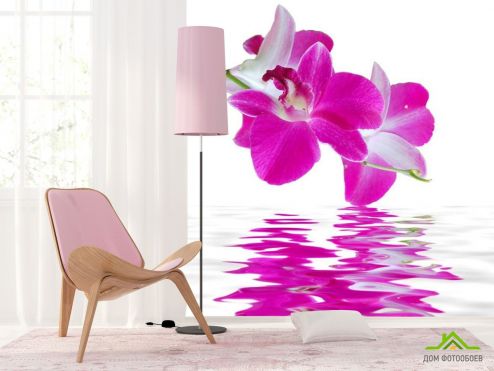 выбрать Фотошпалери Орхідеї кольору фусии Фотошпалери Фотошпалери Квіти: квадратна орієнтація на стіну