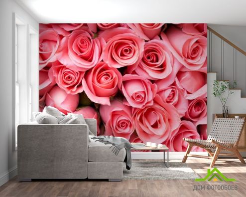 выбрать Фотообои яркие розовые розы Фотообои Фотообои Цветы: горизонталная, горизонтальная ориентация на стену