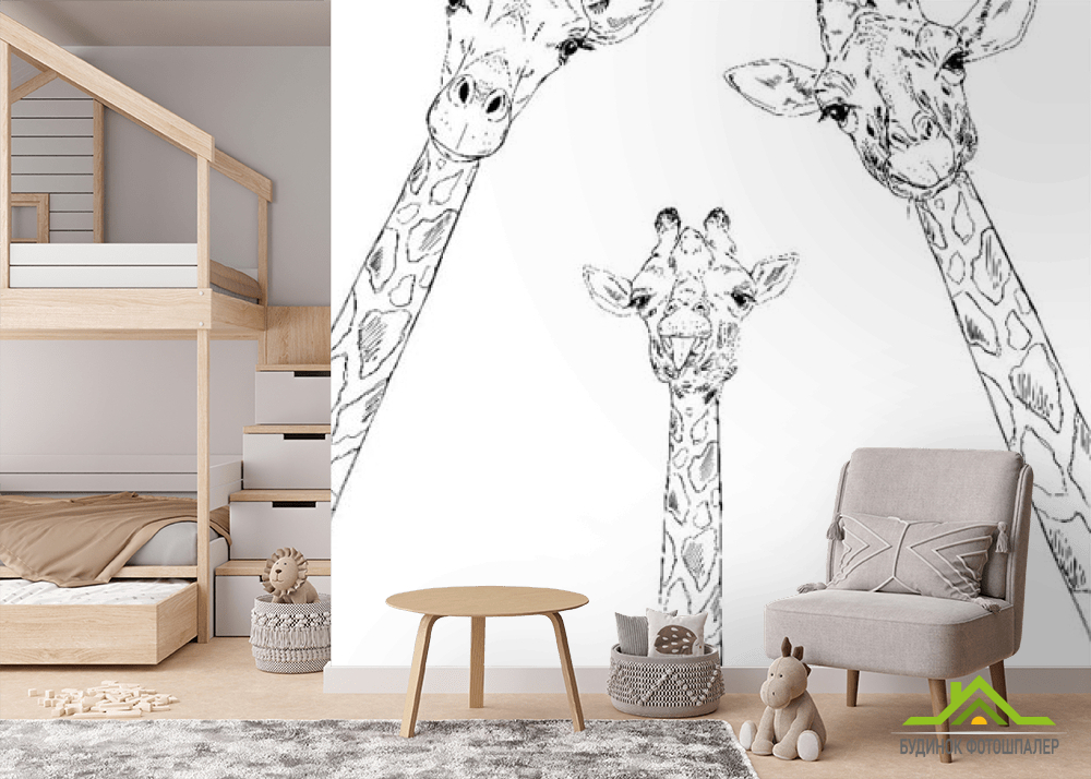 Фотообои Семья жирафов
