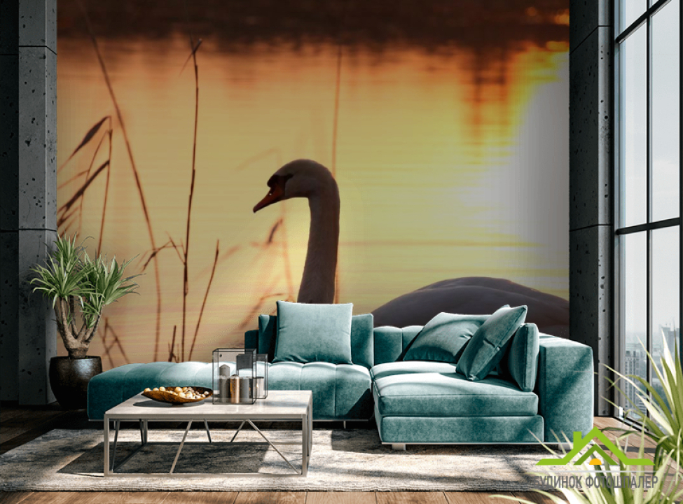 выбрать Фотообои Одинокий лебедь Каталог фотообоев на стену