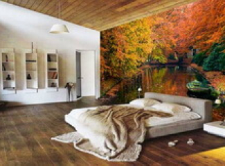 Фотообои вновь возвращают лидерские позиции