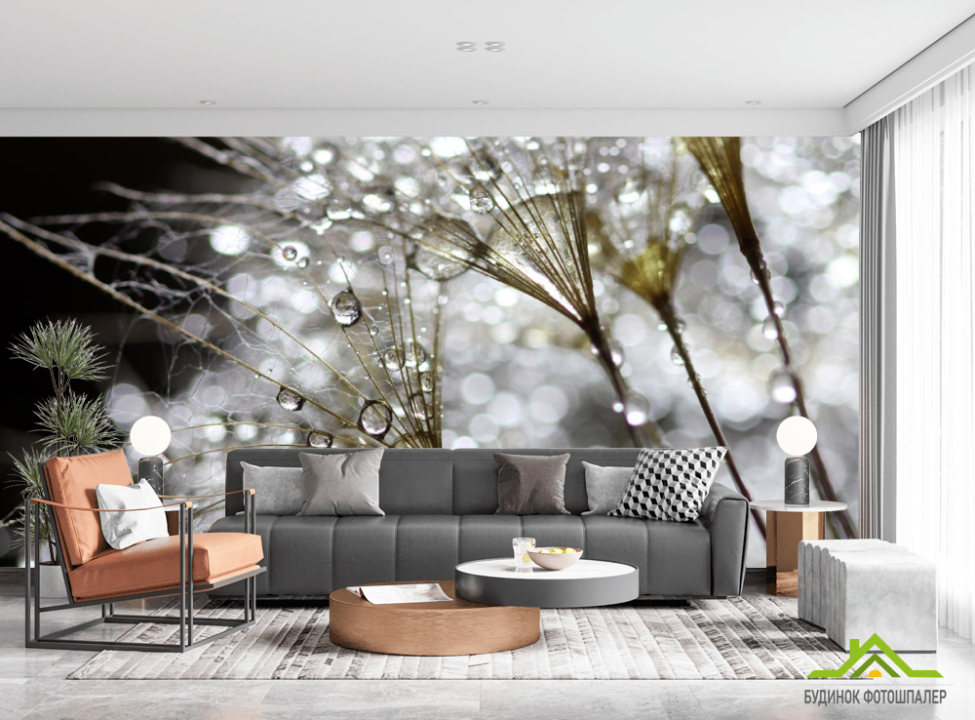 выбрать Фотошпалери білий кульбаба з росою Каталог фотошпалер на стіну