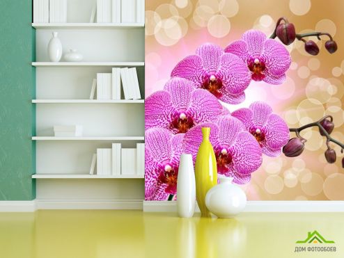 выбрать Фотошпалери Фотошпалери Яскраво-рожеві орхідеї Фотошпалери Фотошпалери Орхідеї: квадратна орієнтація на стіну