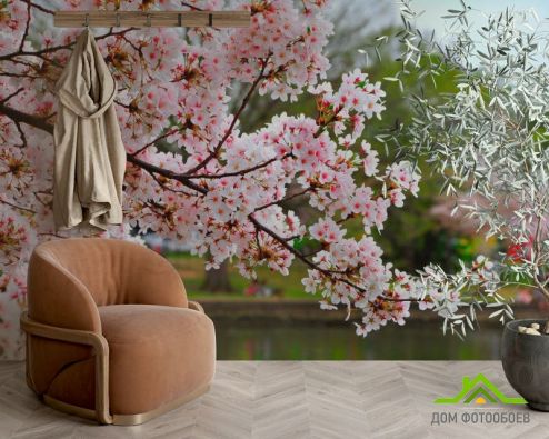 выбрать Фотообои Цветущий вишневый сад Фотообои Фотообои Вишня: фото, горизонталная, горизонтальная  на стену