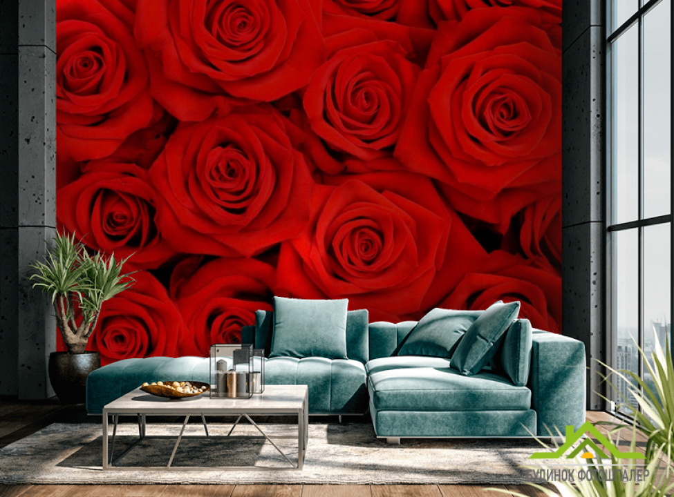 выбрать Фотообои Розы ярко-алые Каталог фотообоев на стену