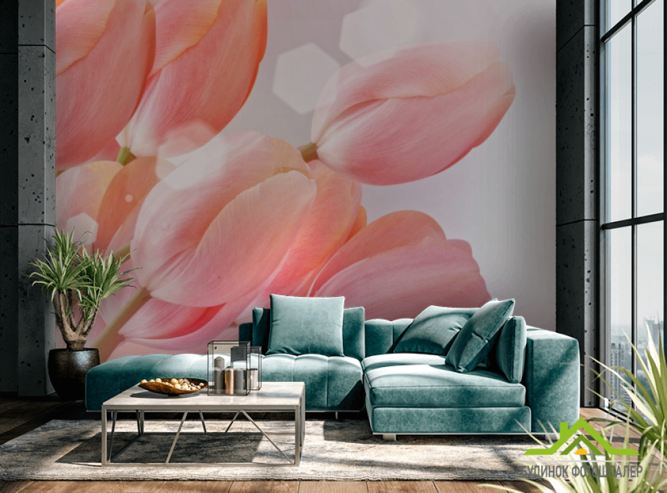 выбрать Фотообои розовые тюльпаны Каталог фотообоев на стену