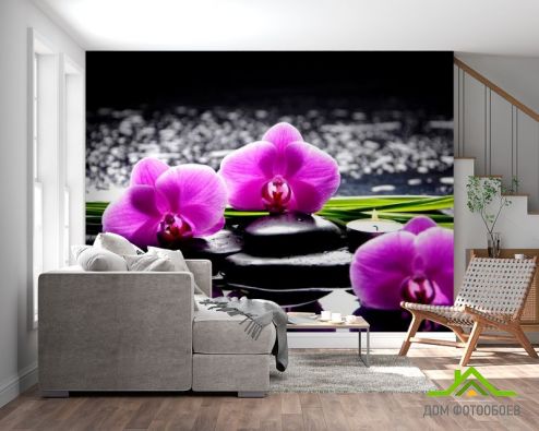 выбрать Фотообои Орхидеи на камнях Фотообои Цветы на стену