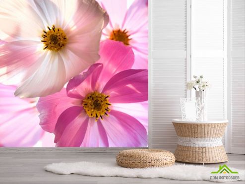 выбрать Фотообои Оттенки шиповника Фотообои Цветы на стену