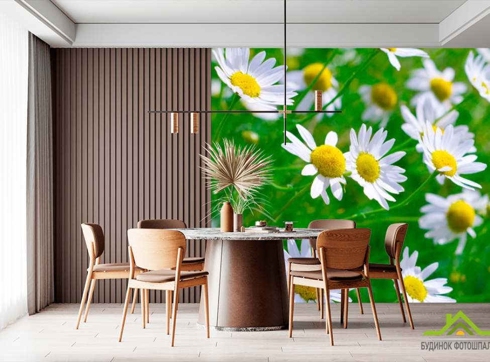 выбрать Фотообои Степные ромашки белоснежные Каталог фотообоев на стену