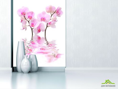 выбрать Фотообои Орхидеи бело-розовые Розовые фотообои на стену