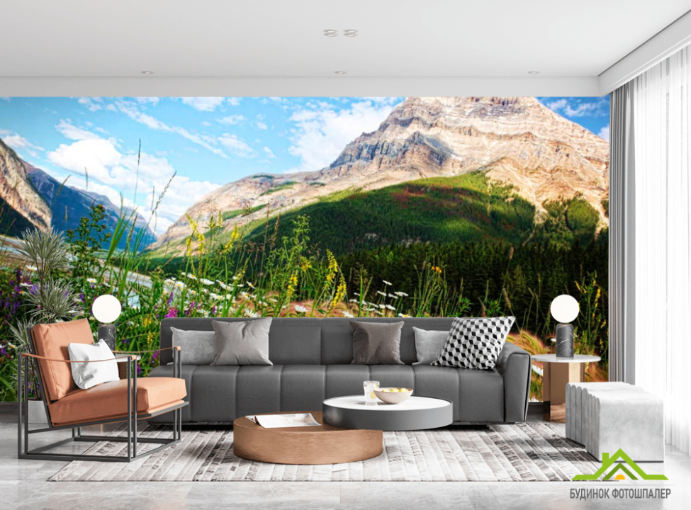 выбрать Фотошпалери Гора, небо, ромашки Каталог фотошпалер на стіну
